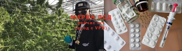 хмурый Михайловск
