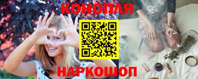 прущие грибы Абакан