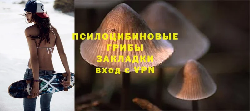 Псилоцибиновые грибы MAGIC MUSHROOMS  как найти   Набережные Челны 