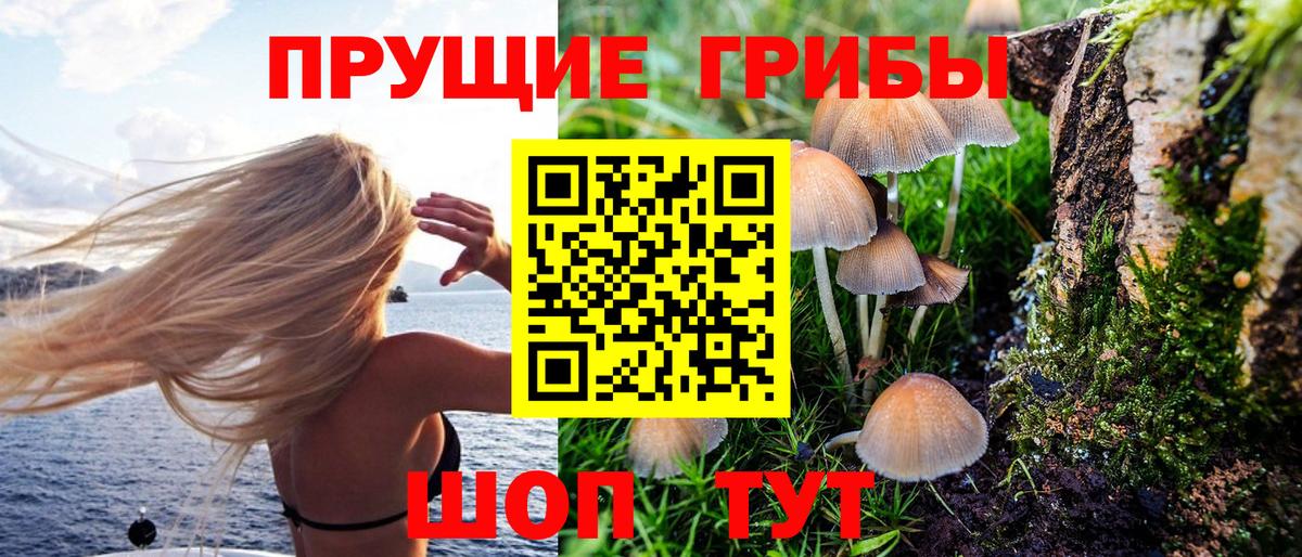 Набережные Челны  Галлюциногенные грибы мицелий  Вход с VPN 